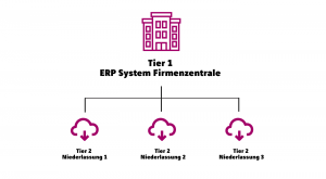 2-Tier ERP Strategie - Grafik